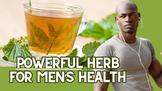 7 Benefits of Stinging Nettle for Men dosage amp usage amp precautions  more  Earth’s Medicine [upl. by Hole260]