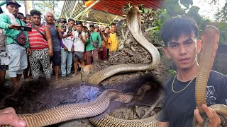 JUMBO COBRA SA APARADOR NG KWARTO [upl. by Ahsitruc]