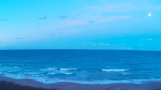 Live Florida Beach Cam  Jensen Beach FL Live WebCam HD [upl. by Dellora]