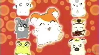 Hamtaro  Cartoon Network  Bumper  2003 [upl. by Niltyak]