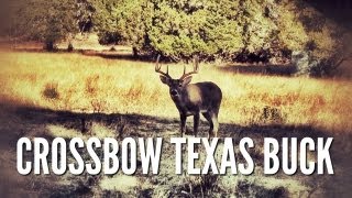 Deer Hunt with Crossbow in the Texas Hill Country [upl. by Nagard]