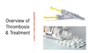 Overview of Thrombosis amp Treatment [upl. by Esimorp]