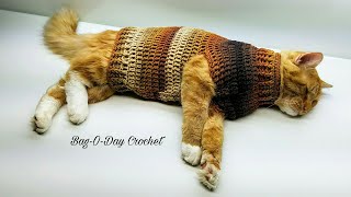 Easy Crochet Cat Sweater Tutorial 426 [upl. by Tyne266]