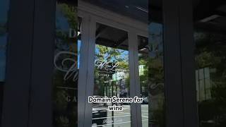 Domain Serene Wine Lounge  A Perfect Spot for Wine Lovers [upl. by Navert]