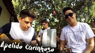 Apelido Carinhoso  Gusttavo Lima cover Tulio e Gabriel [upl. by Niawat]