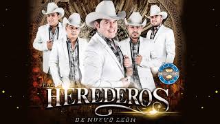 LOS HEREDEROS DE NUEVO LEON MIX 2021  GRANDES EXITOS DE LOS HEREDEROS DE NUEVO LEON [upl. by Radbun]