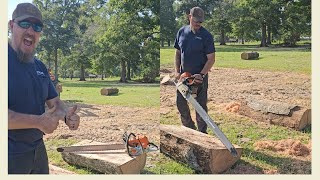 Fastest MS661 Chainsaw Cutting Oak [upl. by Mairam]