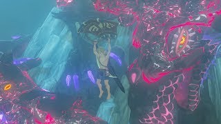 What Happens if you have Naydras Scale Before Saving Naydra Zelda Breath of the Wild [upl. by Cline333]