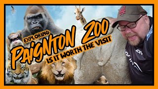 Is Paignton Zoo Worth The Visit A Funfilled Day To Find Out [upl. by Earehs]