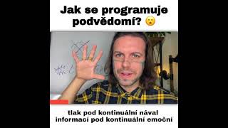 Jak se programuje PODVĚDOMÍTomáš Lukavec [upl. by Kinghorn]