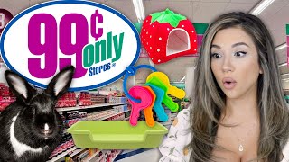 Things You Can Buy at the 99 CENT STORE for Rabbits [upl. by Ayitahs]