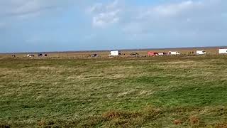 Cockle picking at Marshside Southport video by a4ehighpark1 [upl. by Siver]