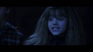 Hermione And Harry Fight  Harry Potter And The Deathly Hallows Part 1 [upl. by Tarr]