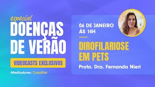 Especial Doenças do verão  Dirofilariose em pets [upl. by Kralc987]