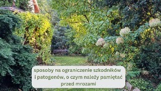 Prace jesienne Co wybieram na poplon O czym należy pamiętać przed nadejściem mrozów [upl. by Aineg894]