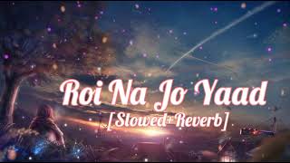 Roi Na Jo Yaad Meri Aayi Ve 💔💔 Slowed  Reverb  Lofi Song [upl. by Anirak]