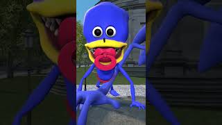 SONIC TAPES FAMILY FROM SMALL TO BIG in Garrys Mod  sonic [upl. by Hightower]