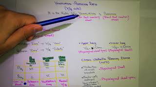 VentilationPerfusion Ratio Chapter 40  part 5 Guyton and hall text book of physiology [upl. by Nalced]