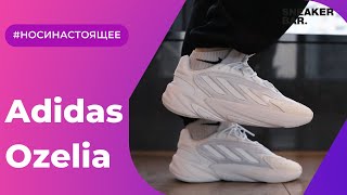 Adidas Ozelia White H04251 Onfeet Review  sneakersby [upl. by Bridgette]