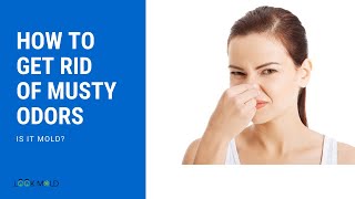 How To Get Rid Of Musty Odors or Smell  Is It Mold [upl. by Stanwood572]