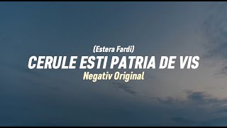 Negativ Cerule esti patria de vis Estera Fardi 2024 [upl. by Pettiford]