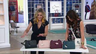 RADLEY London Arlington Court Large Satchel Handbag on QVC [upl. by Juta305]