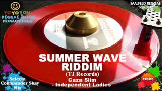 Summer Wave Riddim Mix May 2012 TJ Records [upl. by Yorled]