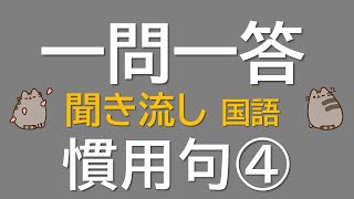 【一問一答 中学国語】慣用句④ ～音声あり～ 小学・高校での慣用句を含む！ [upl. by Islehc]