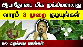 ஆடாதோடை மருத்துவ பயன்கள்  Dr Sivaraman speech in Tamil  Adathodai benefits in Tamil  Health [upl. by Eilyak345]