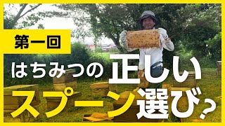 【第一回】間違いだらけのはちみつ選び【正しいスプーン選び？】 [upl. by Aerdnac198]