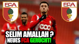 AMALLAH ZU FCA Der Mittelfeldspieler von Standart Lüttich könnte zum FCA kommen FCA News Aktuell [upl. by Samson]