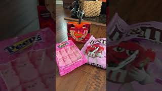 I think I got a little to much lol shorts viral food haul foodhaul fyp target [upl. by Ahtnamas]