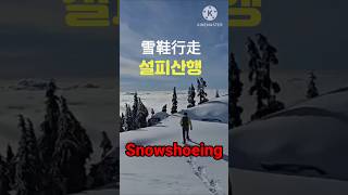 Snowshoeing ｜설피산행  雪鞋行走 [upl. by Crosse620]