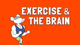 Exercise and the Brain [upl. by Veronique]