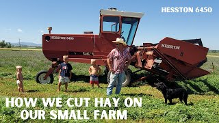 How To Cut Hay On A Small Farm  Hesston 6450 Swather  Ride Along [upl. by Tutto]