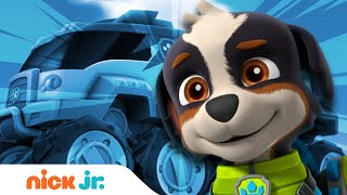 Meet Rex A NEW PAW Patrol Pup  Nick Jr [upl. by Sucy297]