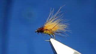 Tying a CDC Bubble Emerger Caddis by Davie McPhail [upl. by Colton]