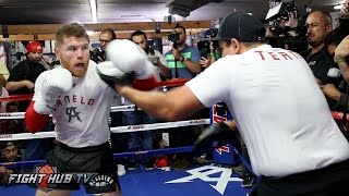 CANELO UNLEASHES 20 PUNCH COMBO ON MITTS FULL MITT WORKOUT VIDEO [upl. by Maxentia9]