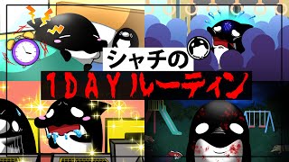 【アニメ】シャチの1DAYルーティン [upl. by Flann]