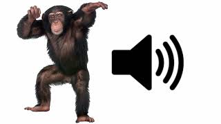 Angry Monkey  Sound Effect [upl. by Barnes]