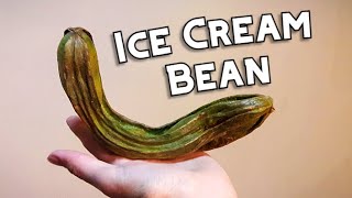 Ice Cream Bean  Weird Fruit Explorer Ep 200 [upl. by Solakcin]