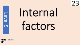 Internal Factors  Business management Level 5 [upl. by Ettezus396]