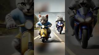 🍮Pudding Chase😡 cat kitten catvideos funny cutecat catlover [upl. by Kunin]