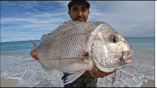 Pink Snapper Fishing From The Beach Perth Western Australia [upl. by Sebastiano]