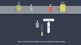 Urea  Urease test [upl. by Intisar]