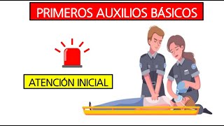 Primeros auxilios básicos y avanzados Evaluación de la Escena [upl. by Adiahs885]