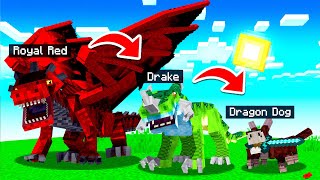 I tamed DRAGON DOGS in MINECRAFT [upl. by Osugi]