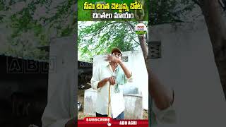 ఎనకట ఎక్కడబడితే అక్కడుండేవి ఈ చెట్లు చాలా ప్రొటీన్స్ ఉండే కాయలు దీనివి   ABN Agri shorts [upl. by Juta]