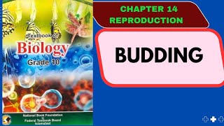 Budding in Yeast and Hydra Class 10 Biology Federal Board NBF Chapter 14 Reproduction [upl. by Maitland]