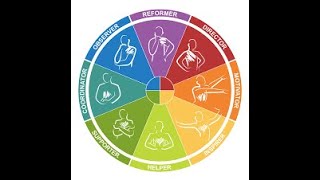 Insights Discovery Profile Charts Graphs Wheel Explained [upl. by Aurie]